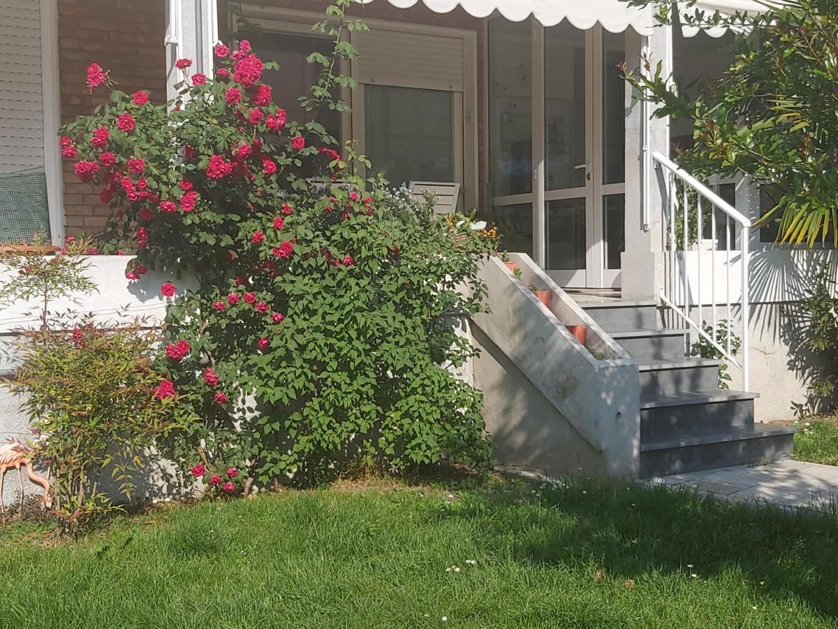 Bed & Breakfast Silvia Olivetti *